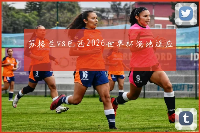 苏格兰vs巴西2026世界杯场地适应