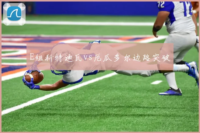 E组科特迪瓦vs厄瓜多尔边路突破
