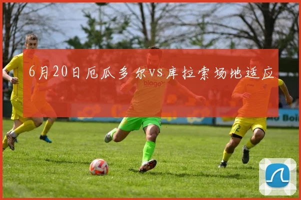 6月20日厄瓜多尔vs库拉索场地适应
