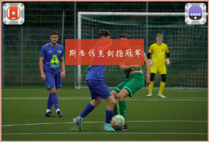斯洛伐克剑指冠军