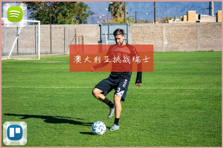 澳大利亚挑战瑞士