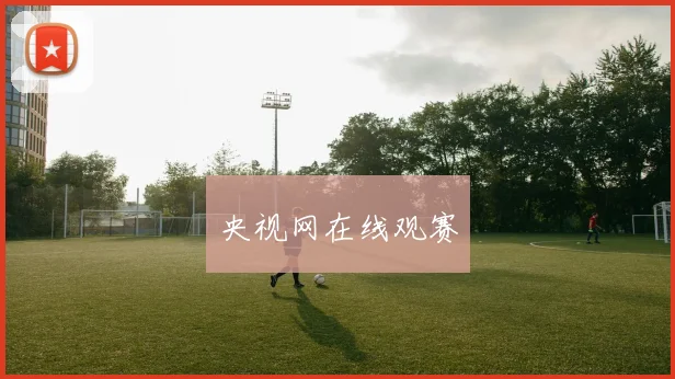 央视网在线观赛