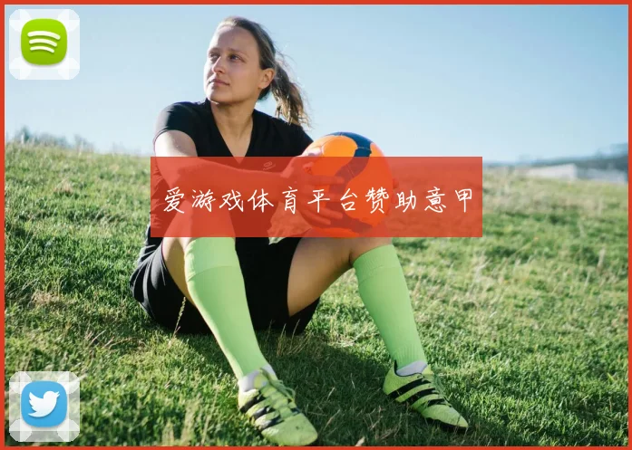 爱游戏体育平台赞助意甲