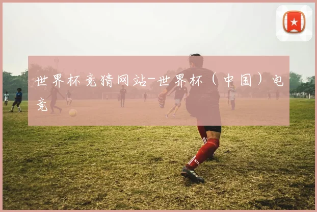 世界杯竞猜网站-世界杯（中国）电竞