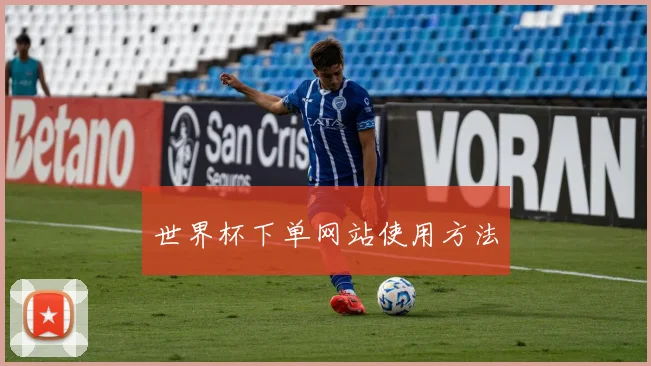 世界杯下单网站使用方法