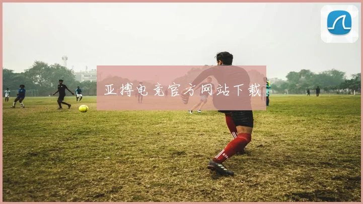 亚搏电竞官方网站下载