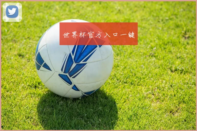 世界杯官方入口一键