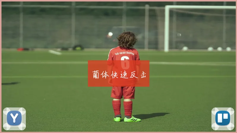 葡体快速反击