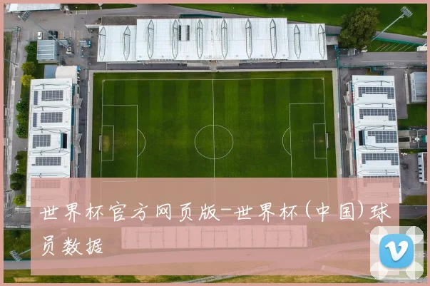世界杯官方网页版-世界杯(中国)球员数据
