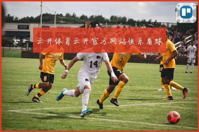 云开体育云开官方网站快乐看球