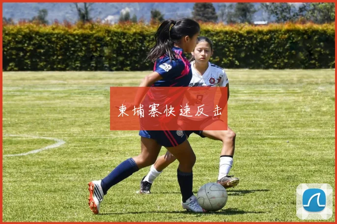 柬埔寨快速反击