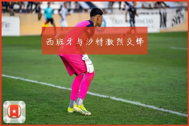 西班牙与沙特激烈交锋