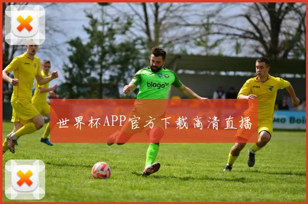 世界杯APP官方下载高清直播