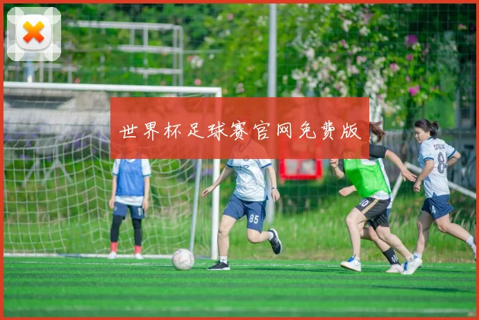 世界杯足球赛官网免费版