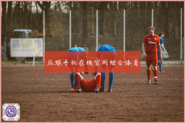 压球手机在线官网综合体育