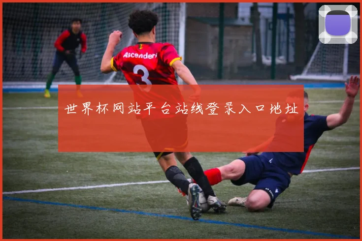 世界杯网站平台站线登录入口地址