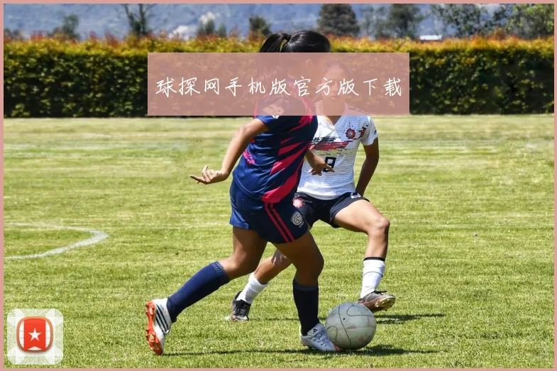 球探网手机版官方版下载
