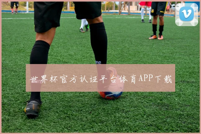 世界杯官方认证平台体育APP下载