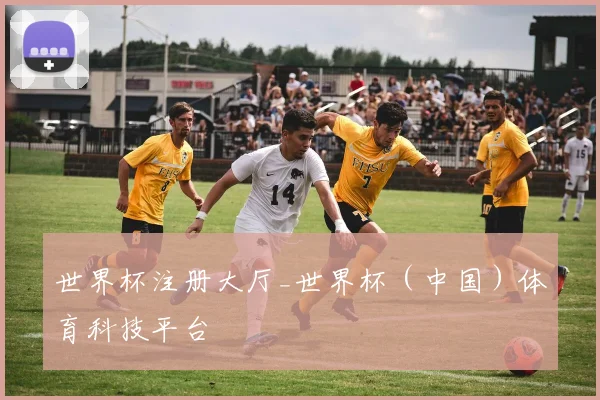 世界杯注册大厅_世界杯（中国）体育科技平台