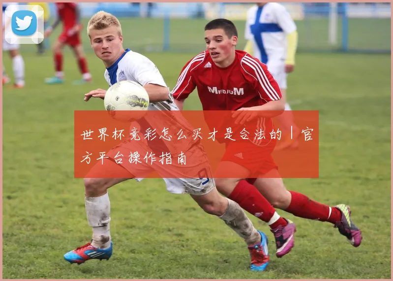 世界杯竞彩怎么买才是合法的｜官方平台操作指南