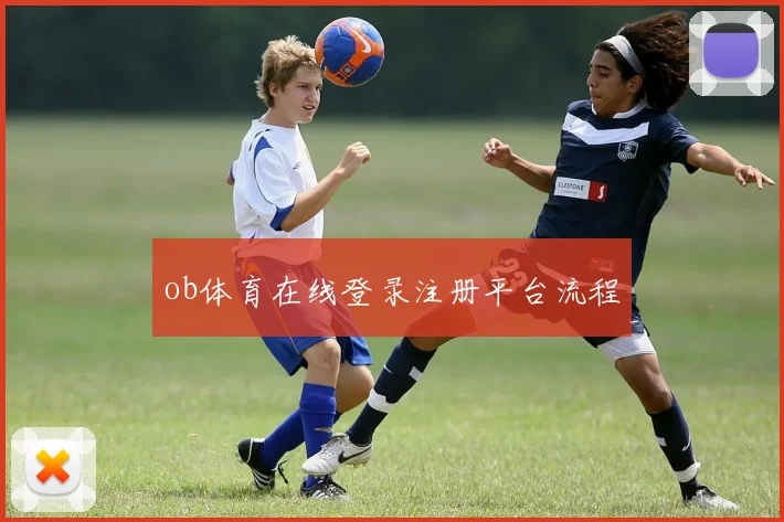 ob体育在线登录注册平台流程
