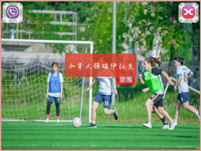 加拿大强碰伊拉克