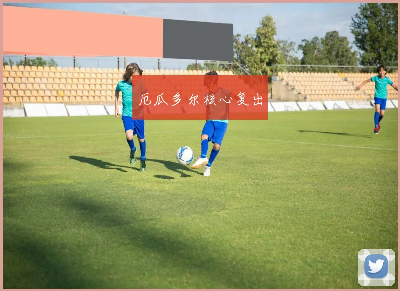 厄瓜多尔核心复出
