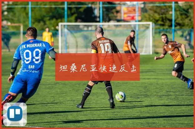 坦桑尼亚快速反击