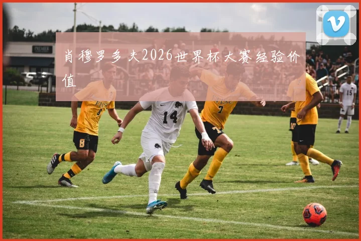 肖穆罗多夫2026世界杯大赛经验价值