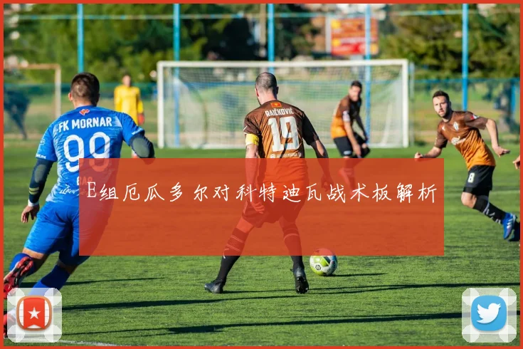 E组厄瓜多尔对科特迪瓦战术板解析