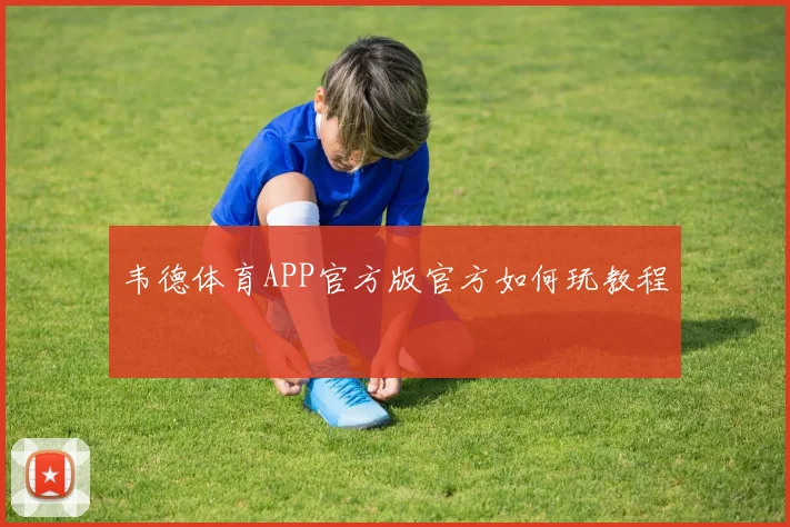 韦德体育APP官方版官方如何玩教程