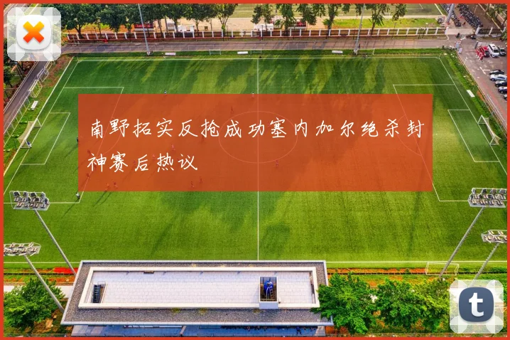 南野拓实反抢成功塞内加尔绝杀封神赛后热议