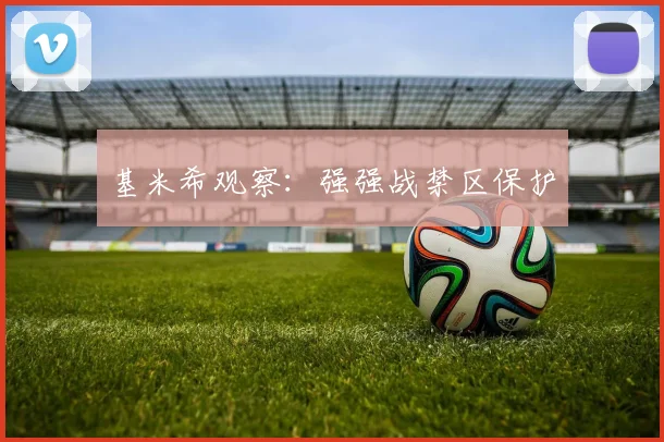 基米希观察:强强战禁区保护