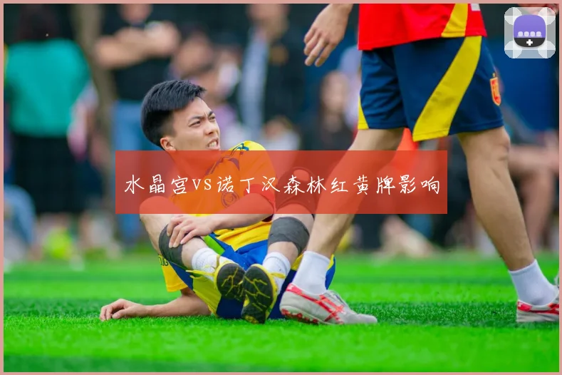 水晶宫vs诺丁汉森林红黄牌影响