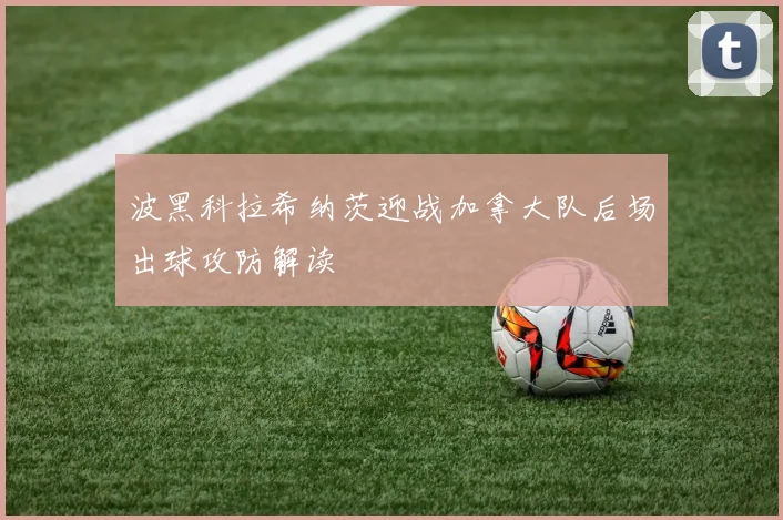 波黑科拉希纳茨迎战加拿大队后场出球攻防解读