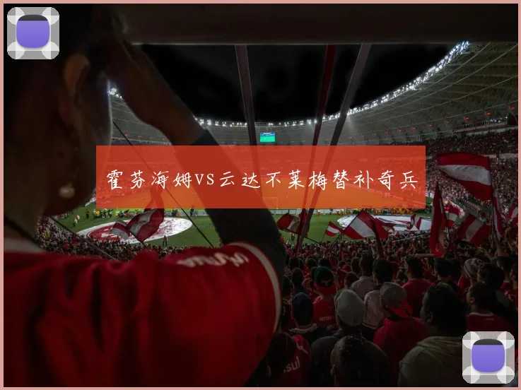 霍芬海姆vs云达不莱梅替补奇兵