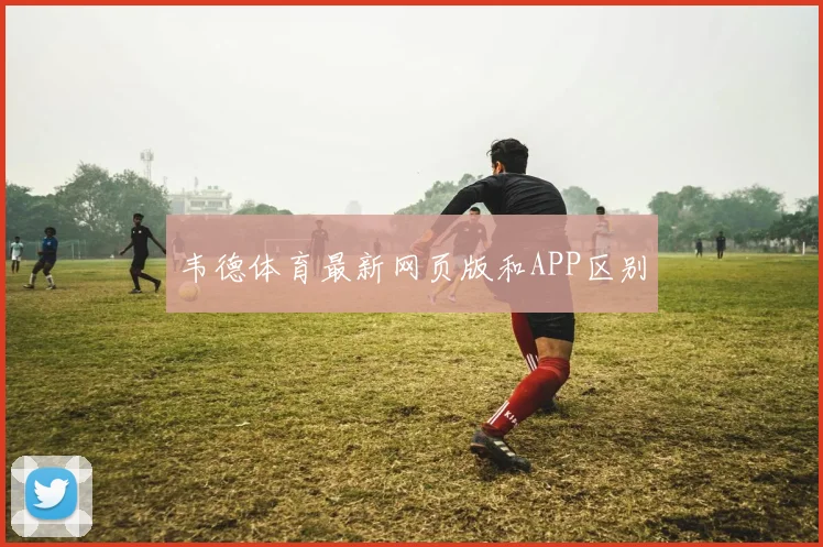 韦德体育最新网页版和APP区别